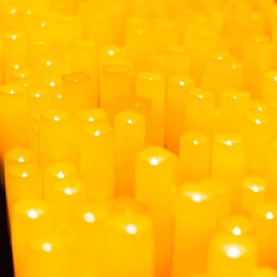 Candlelight: 夢と魔法の世界のハーモニー
