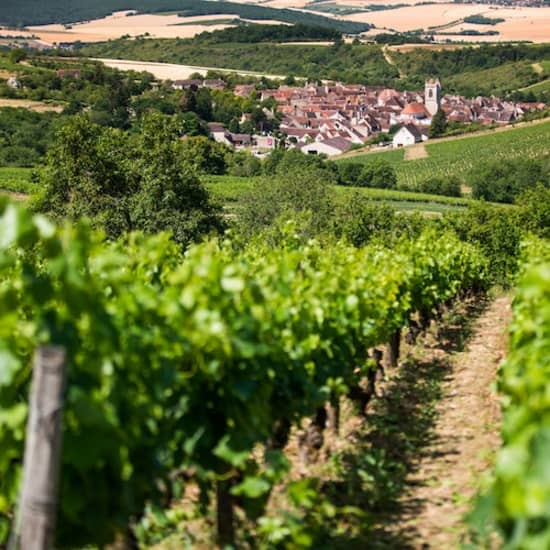﻿Day trip to Burgundy from Paris
