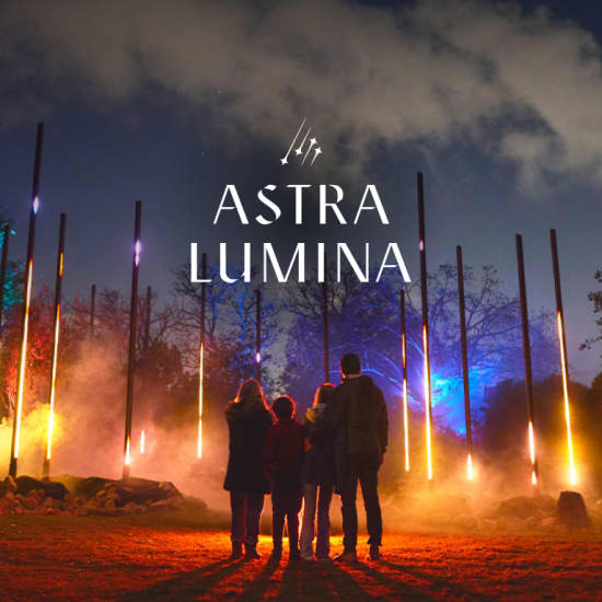 Astra Lumina: Un paseo nocturno encantado entre las estrellas