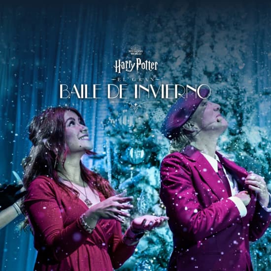 Harry Potter: El Gran Baile de Invierno