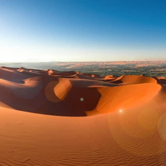 Abu Dhabi Desert Safari: Morning