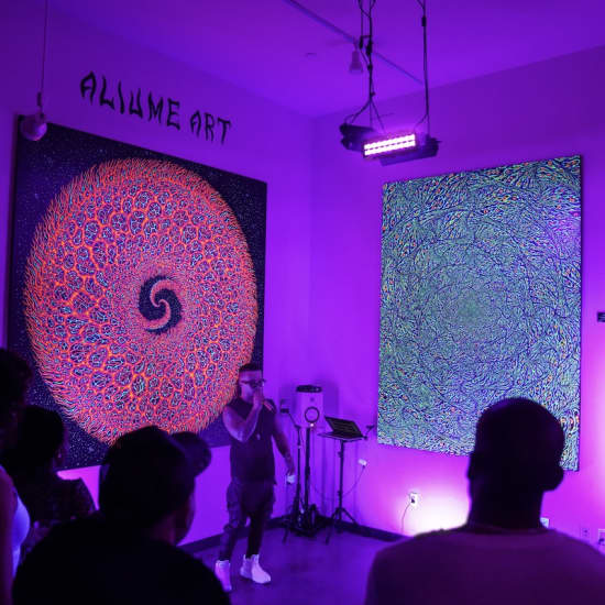ALIUME Art-Gallery - Immersive luminescent experience inside private art-gallery of Artist - Alex Aliume
