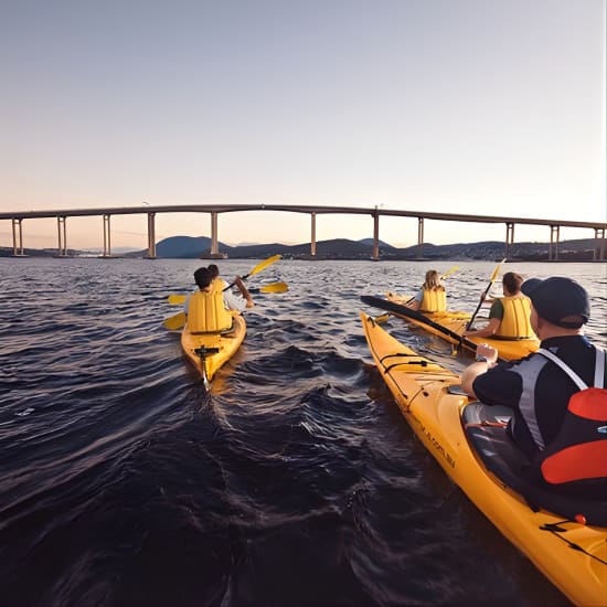 Hobart Kayak Tour