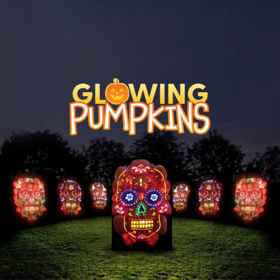 Glowing Pumpkins: A Phoenix Jack-o-Lantern Adventure