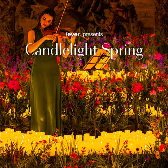 Candlelight Spring: Queen Tribut