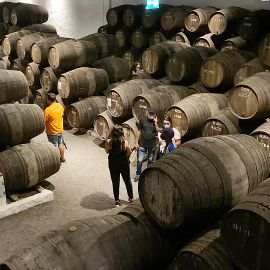 Tour de vinhos pelo Porto com visita a cave e provas incluídas