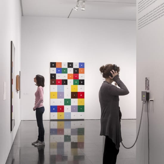 Visita el Museo de Arte Contemporáneo de Barcelona (MACBA)