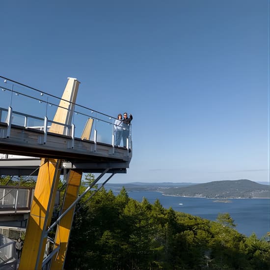 Malahat SkyWalk General Admission Tickets