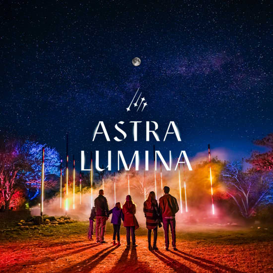 Astra Lumina: An Enchanted Night Walk Amongst the Stars