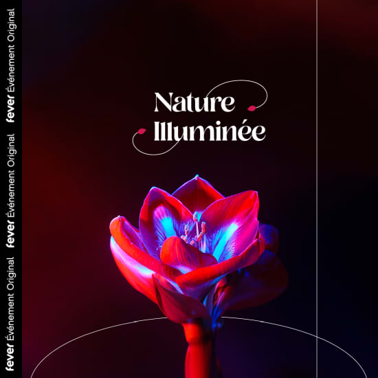 Nature Illuminated: seizoenen in harmonie