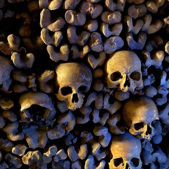 Visite guidée semi-privée des catacombes de Paris Max 6 personnes