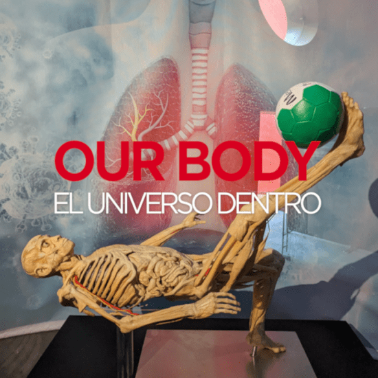Our Body: El Universo dentro - La experiencia