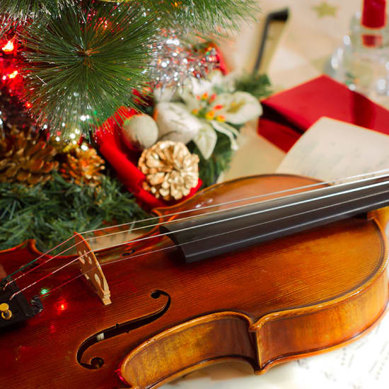 Vivaldi's Four Seasons at Christmas at St Mary's Cathedral