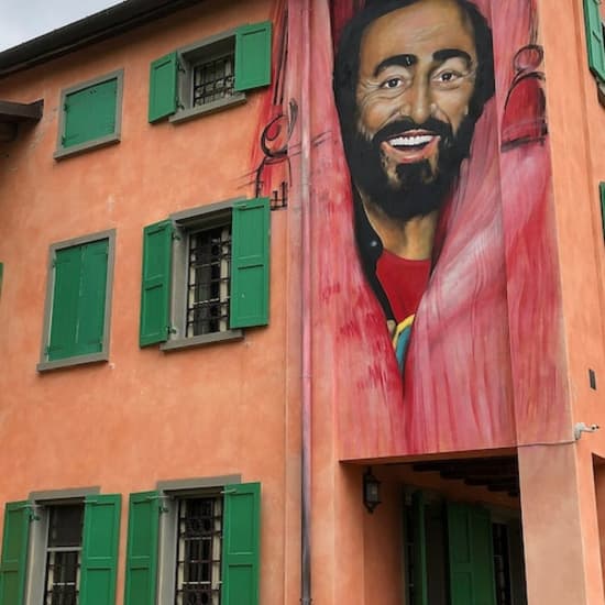 Casa Museo Luciano Pavarotti: Biglietto d'ingresso