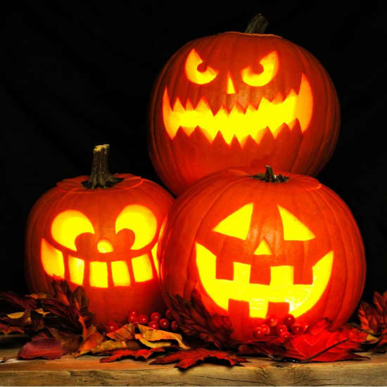 Pumpkin Carving Party - NYC - Tickets | Fever