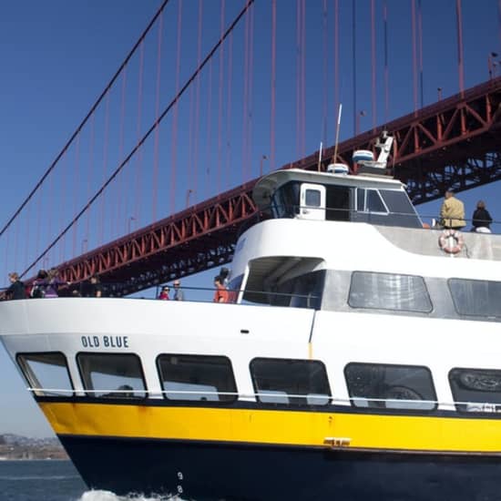 Escape from the Rock: Bay Cruise - Valentine's Day experience in Blue & Gold Fleet