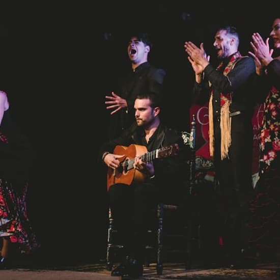 ﻿Traditional Flamenco Show at Casa Ana Granada