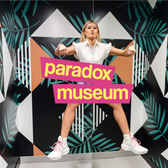 Paradox Museum Miami