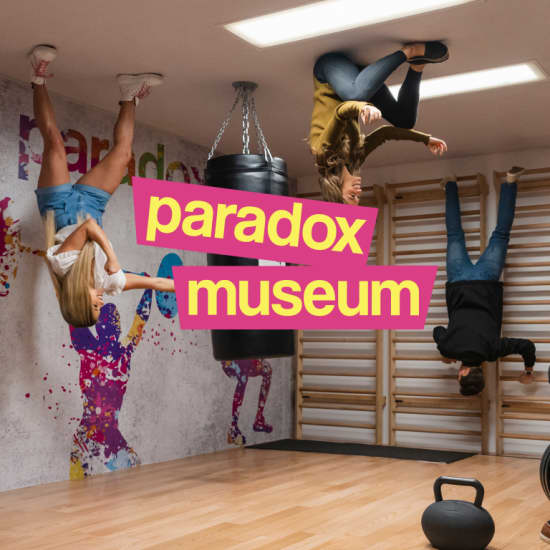 Paradox Museum Miami