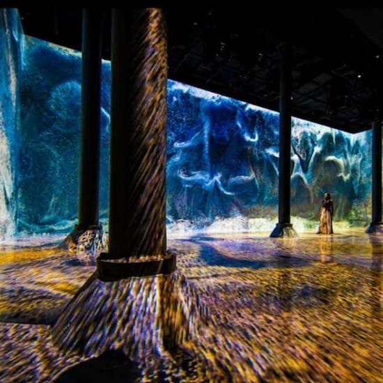 ARTECHOUSE New York New York Fever