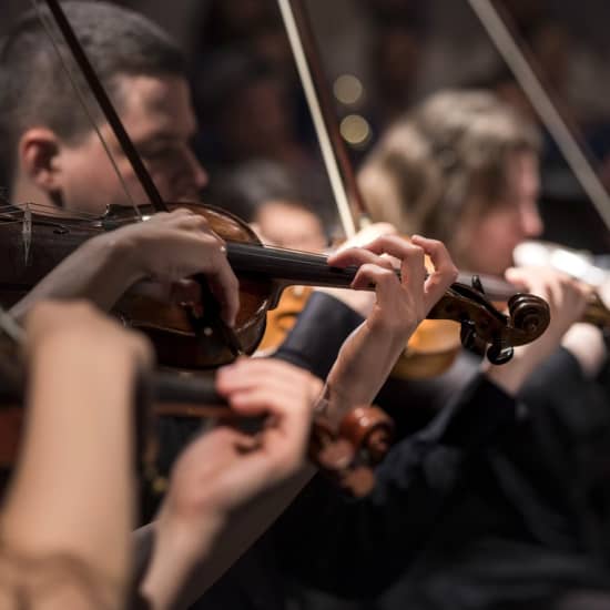 Orchestre de Chambre de Toulouse : Mozart à l'Hôtel Palladia