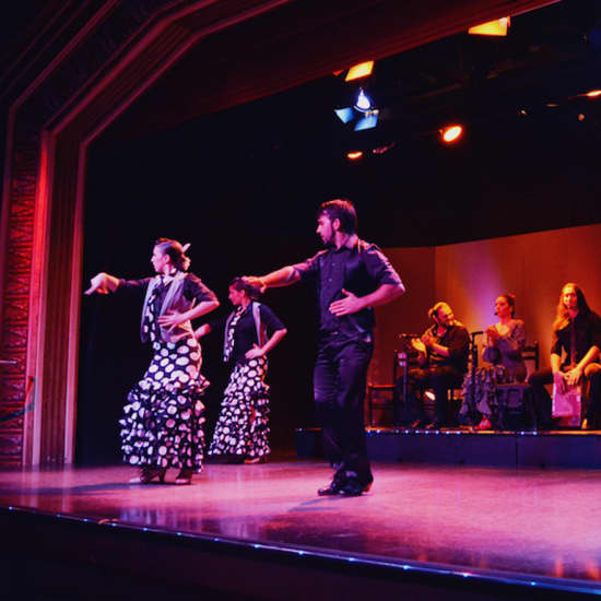 Palacio del Flamenco: ¡espectáculo en directo!