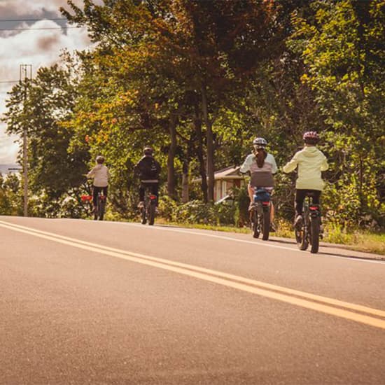 Visite guidée en vélo électrique et dégustation sur l’Île d’Orléans