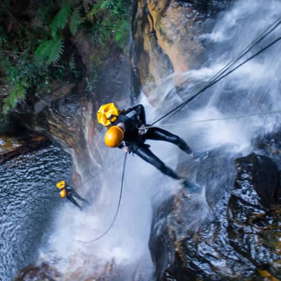 Empress Canyoning Adventure in the Blue Mountains