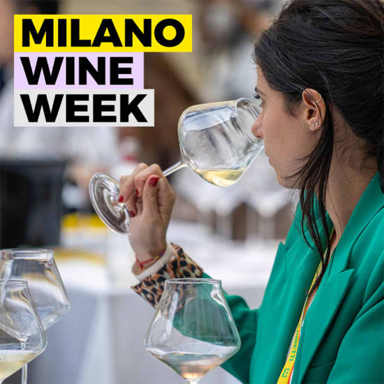 Charity Masterclass “Calici Di Vita – Le Donne Del Vino Per Le Donne” By Associazione Nazionale Donne del Vino  - Milano Wine Week 2023