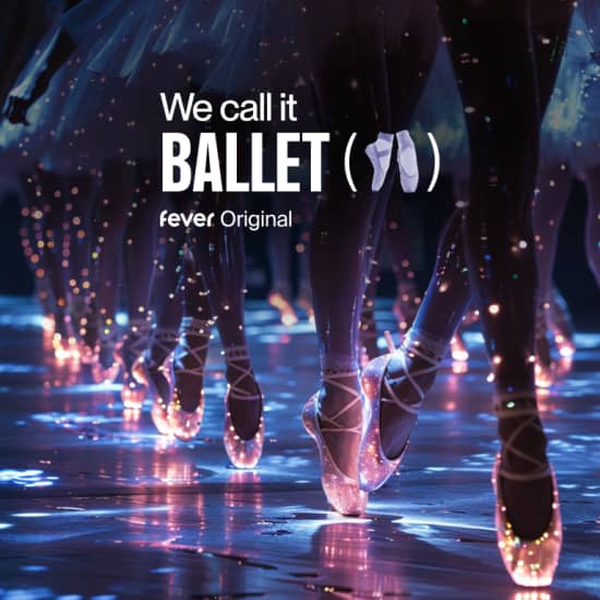 ﻿We Call It Ballet : Sleeping Beauty in a dazzling light show