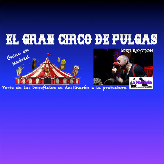 Gran circo de pulgas en Sala 0 Madrid