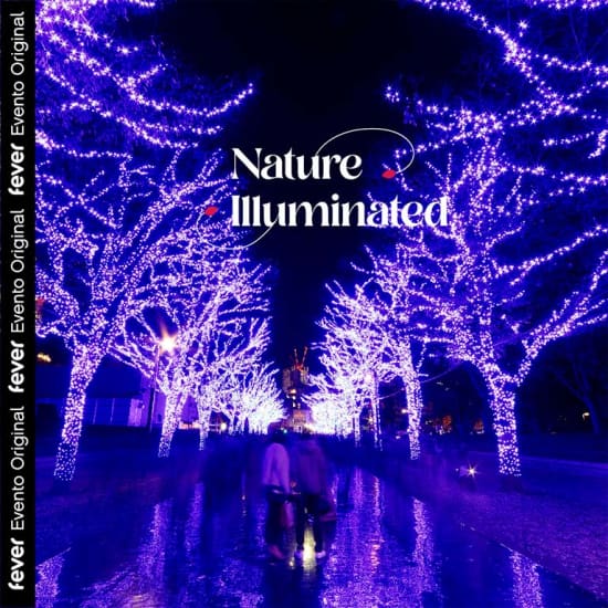 Nature Illuminated: The Harmony of the Seasons - Waitlist