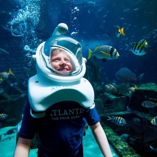 أتلانتس دبي: حديقة أكوافنتشر المائية + تجربة سفاري مع القرش أو الغطس
