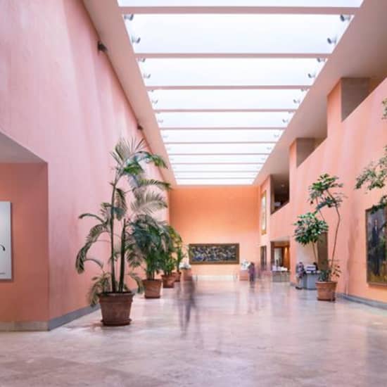 Museo Nacional Thyssen-Bornemisza: ¡entradas sin colas!