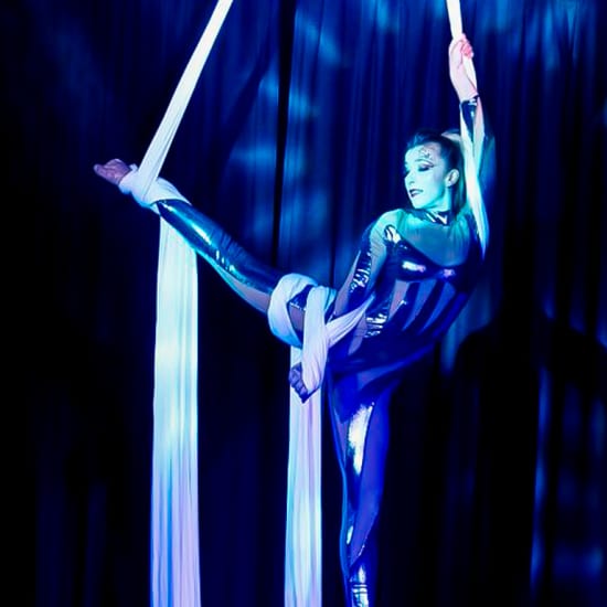 Dîner-Spectacle du Cabaret à La Confluence de Lyon