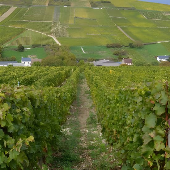 Excursion exclusive à Sancerre & Pouilly Fumé au départ de Paris