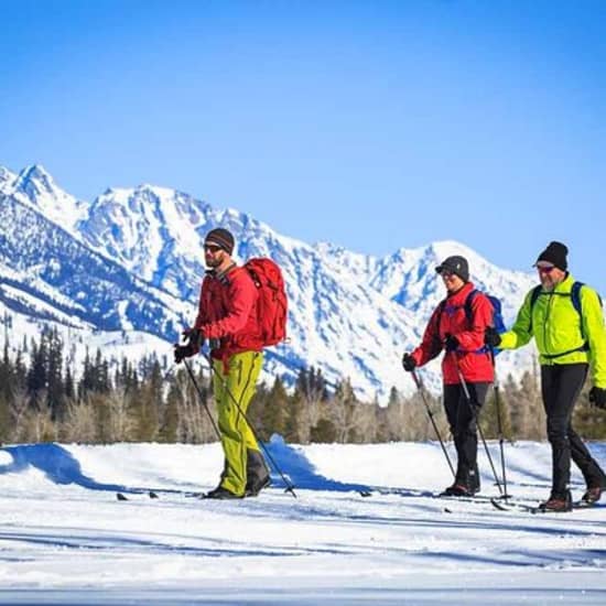 4 Hour Beginner Cross Country Skiing in Grand Teton