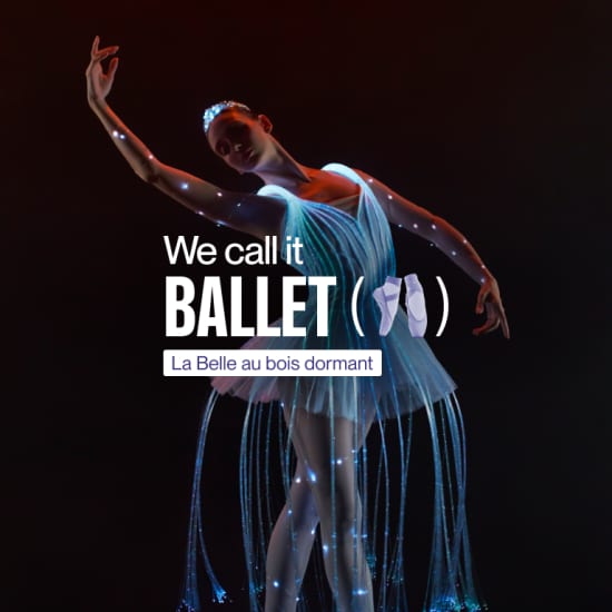 We call it Ballet : La Belle au Bois Dormant dans un éblouissant spectacle de lumières