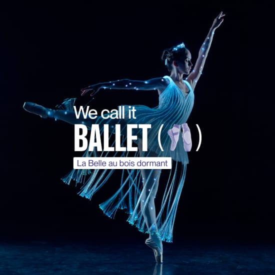 We call it Ballet : La Belle au Bois Dormant dans un éblouissant spectacle de lumières