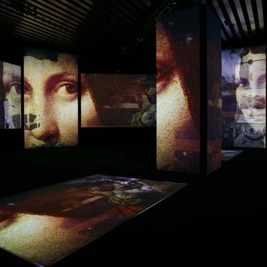 Leonardo Da Vinci: 500 años de genialidad - Puebla