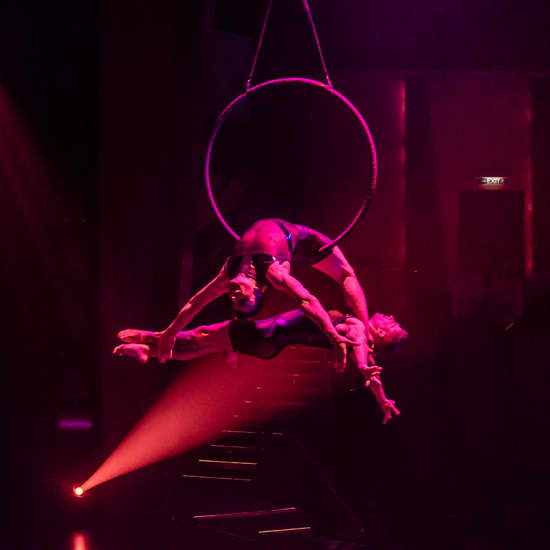 AirOtic Soireé: a Cirque Style Cabaret