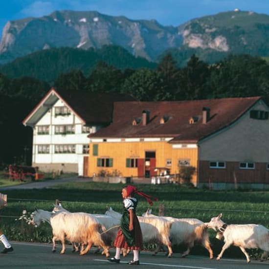 Tagesausflug: Schweizer Käse, Schokolade und Berge