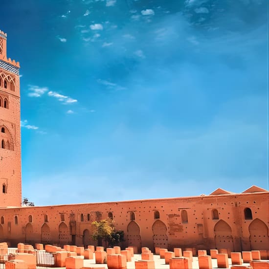 Visite historique à pied de Marrakech