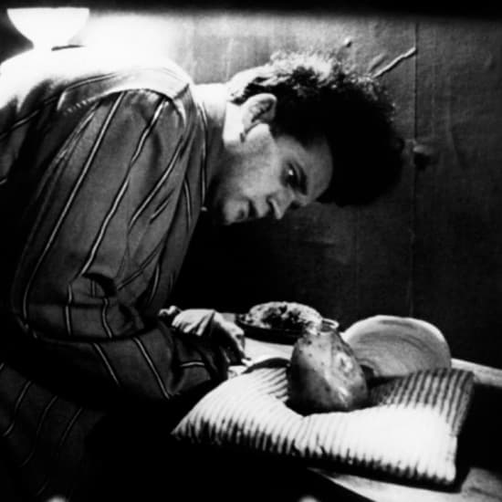 The Frida Cinema DriveIn Eraserhead Orange County Fever