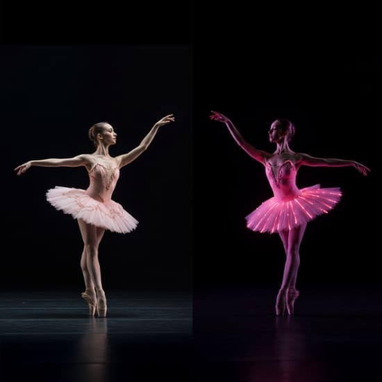 We call it Ballet: Sleeping Beauty Dance & Light Show at Zabeel Theatre - Jumeirah Zabeel Saray Hotel, Dubai, United Arab Emirates