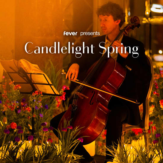Candlelight Spring: Vivaldis „Vier Jahreszeiten“ im Residenzkino