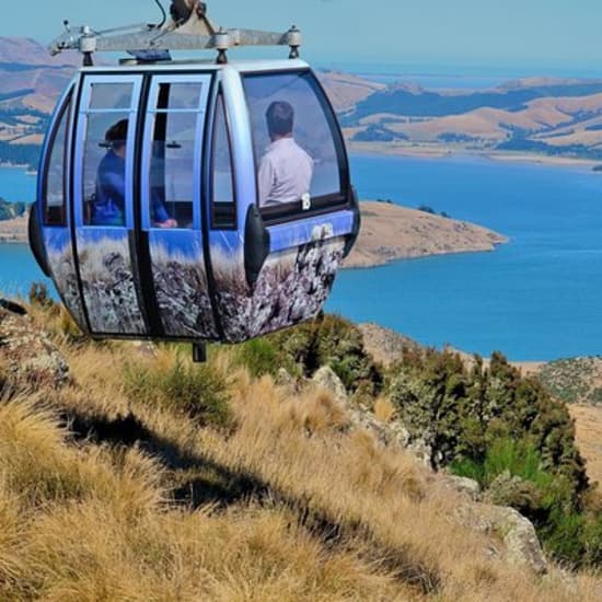 Christchurch Gondola Ride Ticket