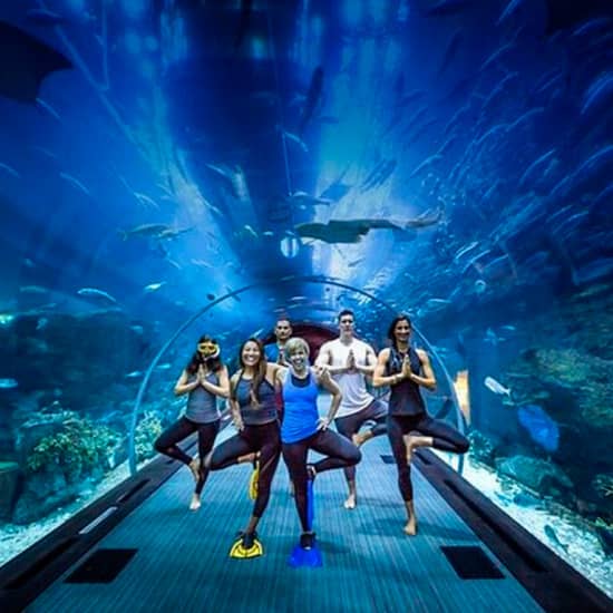 Dubai Aquarium and Underwater Zoo with Penguin Cove Ticket