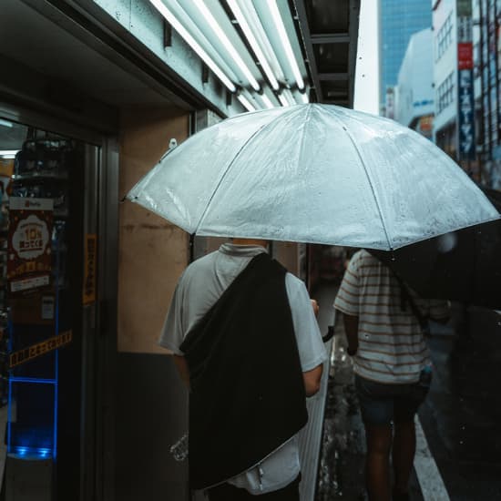 Planes bajo la lluvia 12