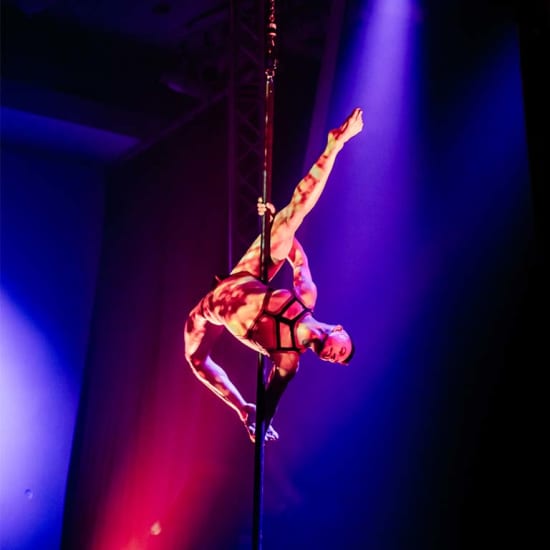 AirOtic Soireé: a Cirque Style Cabaret Dinner Show